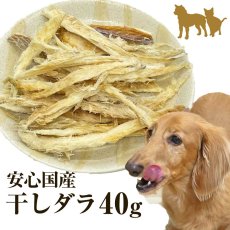 画像1: 【国産 無添加】ほぐしタラ 40g 犬用 犬 おやつ タラ ほぐしたら ほしだら 干しダラ ペット おやつ ペット 猫用 犬 猫 低カロリー 鱈 たら タラ 魚 ドッグフード おやつ 高タンパク 高たんぱく 低脂質ペットおやつ 無着色【メール便送料無料】 (1)