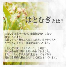 画像4: 富山産 生はとむぎ粉 400g 非焙煎 ハトムギ粉 純白 無添加 国産  自作 化粧水 粉シャンプー パック ハトムギ粉末 焙煎してない ヨクイニン末 はとむぎブランド あきしずく100％使用 (4)